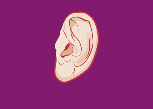 UPMC – Earlobes
